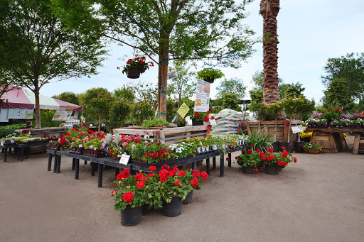 Garden Center «Moon Valley Nurseries West Valley / Avondale», reviews and photos, 11320 W Indian School Rd, Avondale, AZ 85323, USA