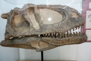 Museo de Paleontología | F.C.E.F. y N. image