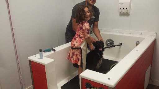 Pet Groomer «Happy Tails Self-Serve Dog Wash», reviews and photos, 267 Cotuit Rd Unit D, Sandwich, MA 02563, USA