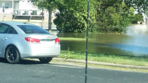 Grocery Store «Food Lion», reviews and photos, 802 Harbour W Dr, Rocky Mount, NC 27803, USA