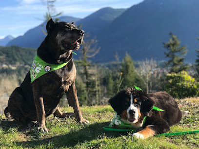 Wag The Dog (Fraser Valley)