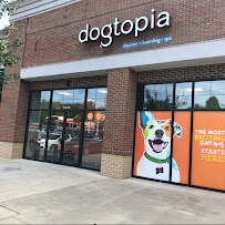 Dogtopia Charlottesville - Photo 2 - Car repair in Charlottesville, VA, Charlottesville