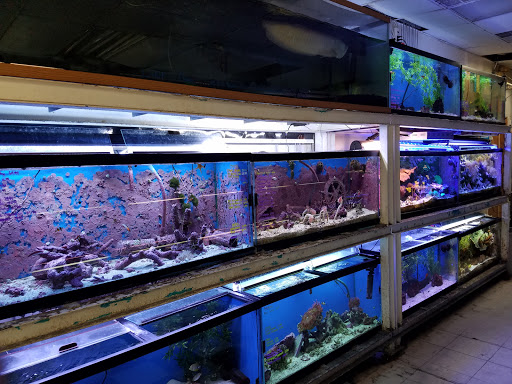 Pet Store «Fish 4 U», reviews and photos, 4010 Highland Dr #1, Millcreek, UT 84124, USA