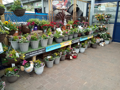 Plant shops in Nottingham