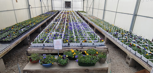 Florist «Burkhart Greenhouse & Garden», reviews and photos, 1530 E Central Ave, Miamisburg, OH 45342, USA