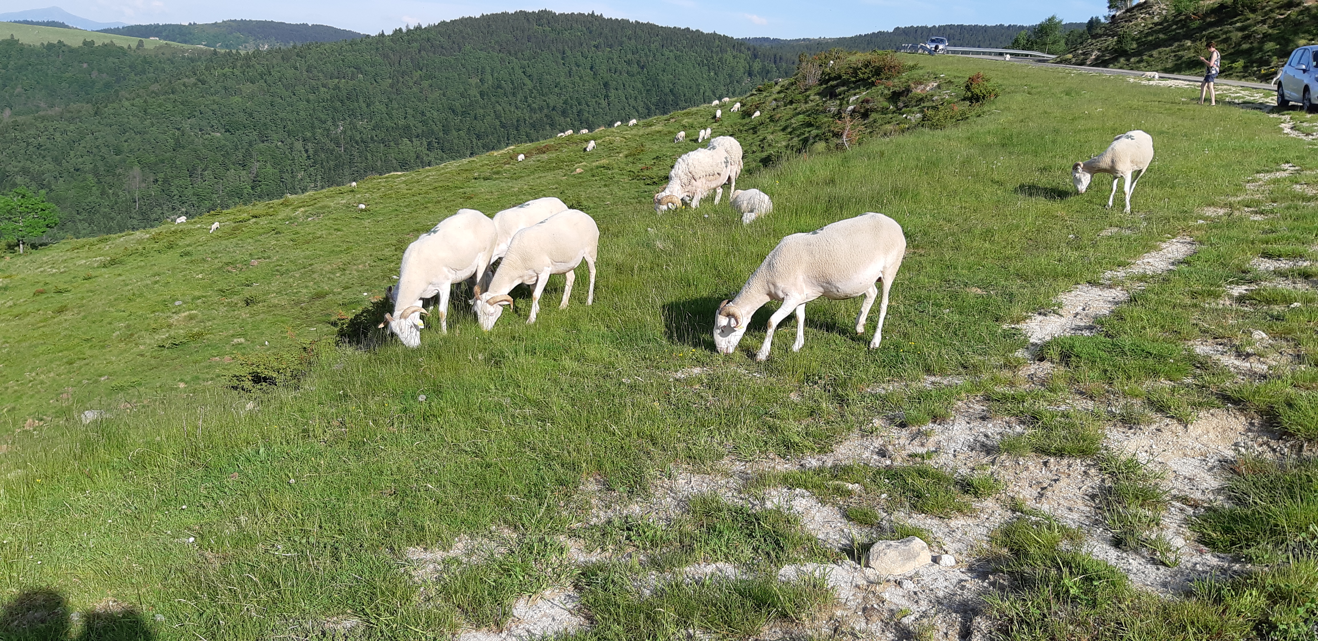Photo n° 17 de l'avis de Yannick.a fait le 23/06/2019 à 21:16