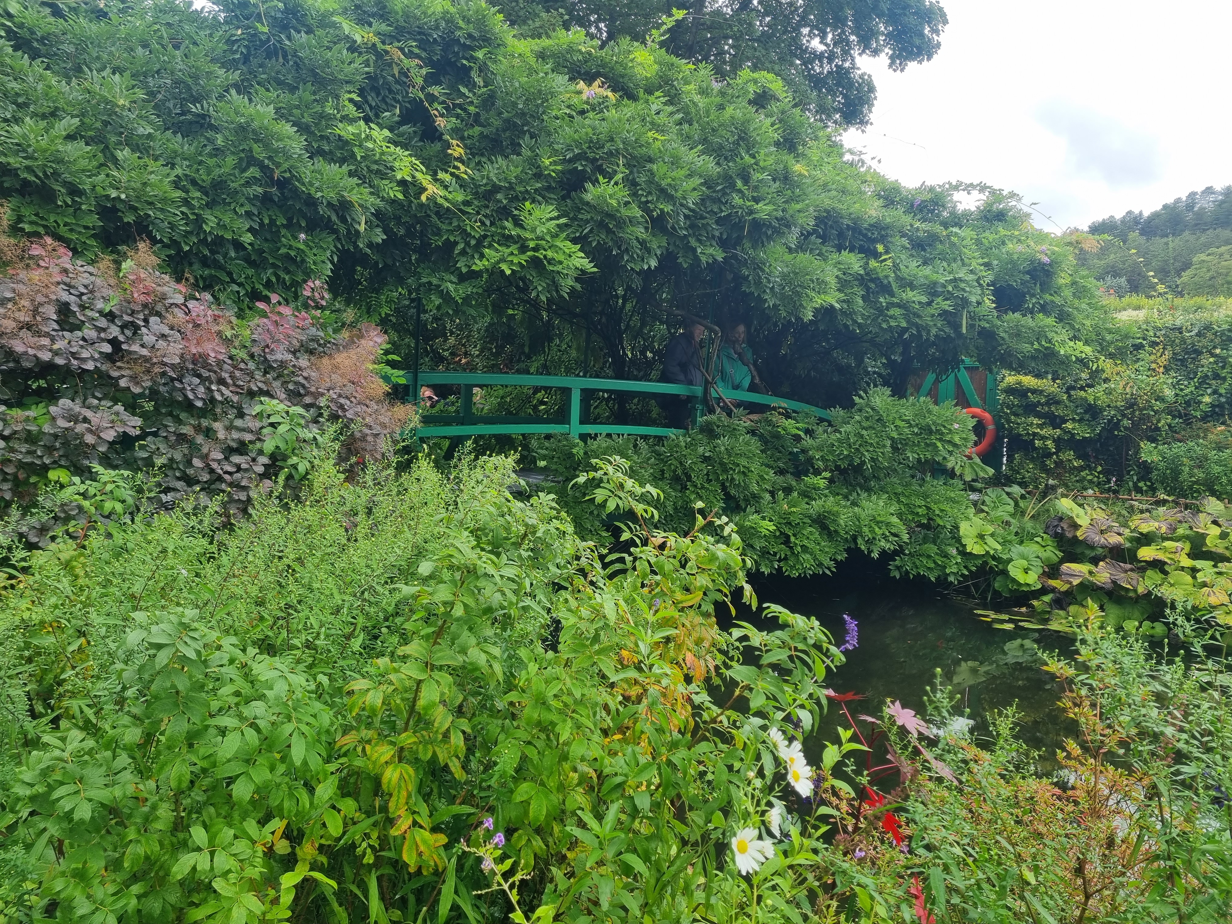 Photo n° 5 de l'avis de Marine.h fait le 22/09/2023 à 17:11