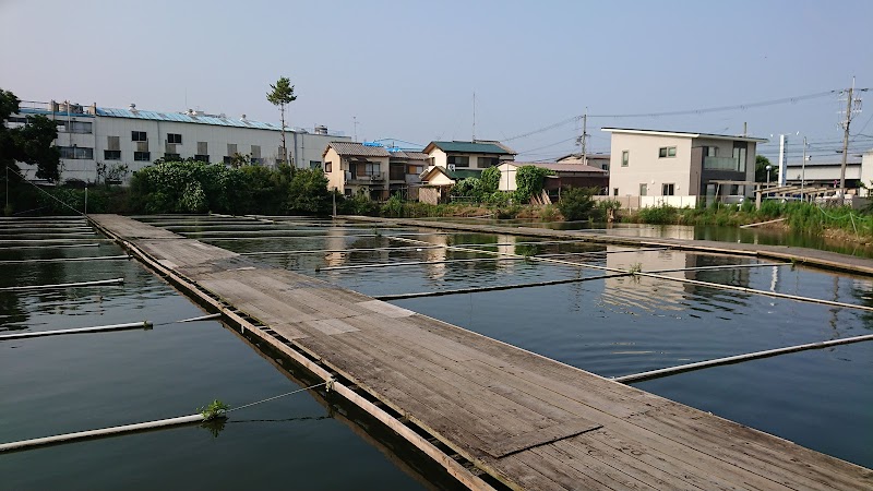 茨木新池