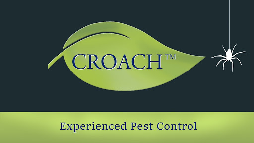 Pest Control Service «Croach», reviews and photos