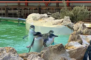 Penguin Island Discovery Centre image