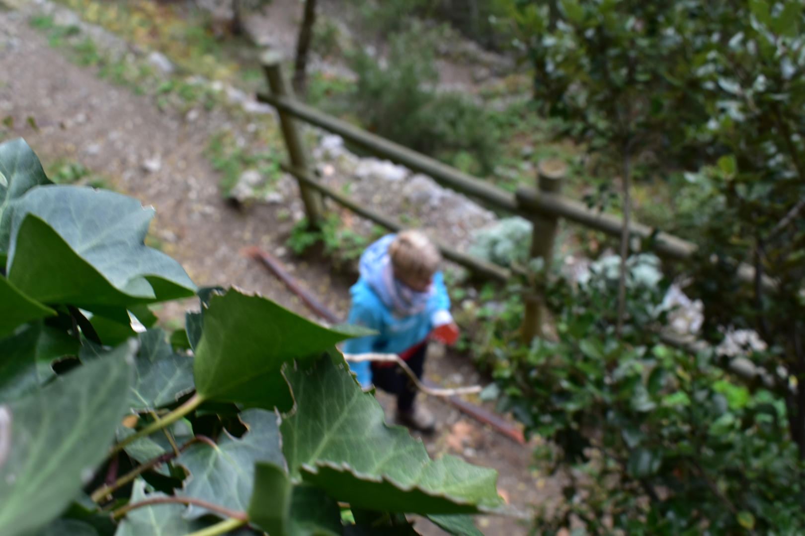 Photo n° 14 de l'avis de Alain.i fait le 07/01/2018 à 11:06