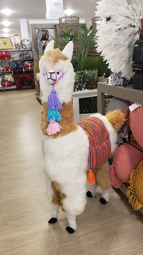 Department Store «HomeGoods», reviews and photos, 309 Great Rd, Bedford, MA 01730, USA