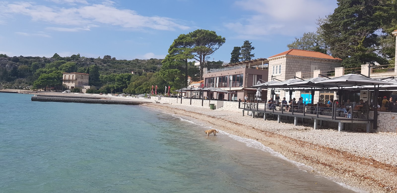 Foto de Srebreno beach área parcialmente do hotel