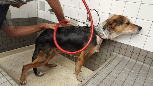 Pet Supply Store «Pet Food Express», reviews and photos, 3910 Middlefield Rd, Palo Alto, CA 94303, USA