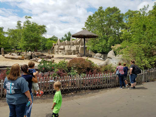 Zoo «Detroit Zoo», reviews and photos, 8450 W 10 Mile Rd, Royal Oak, MI 48067, USA