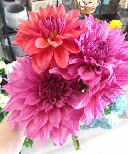 Florist «A Daisy A Day», reviews and photos, 749 Silas Creek Pkwy, Winston-Salem, NC 27127, USA