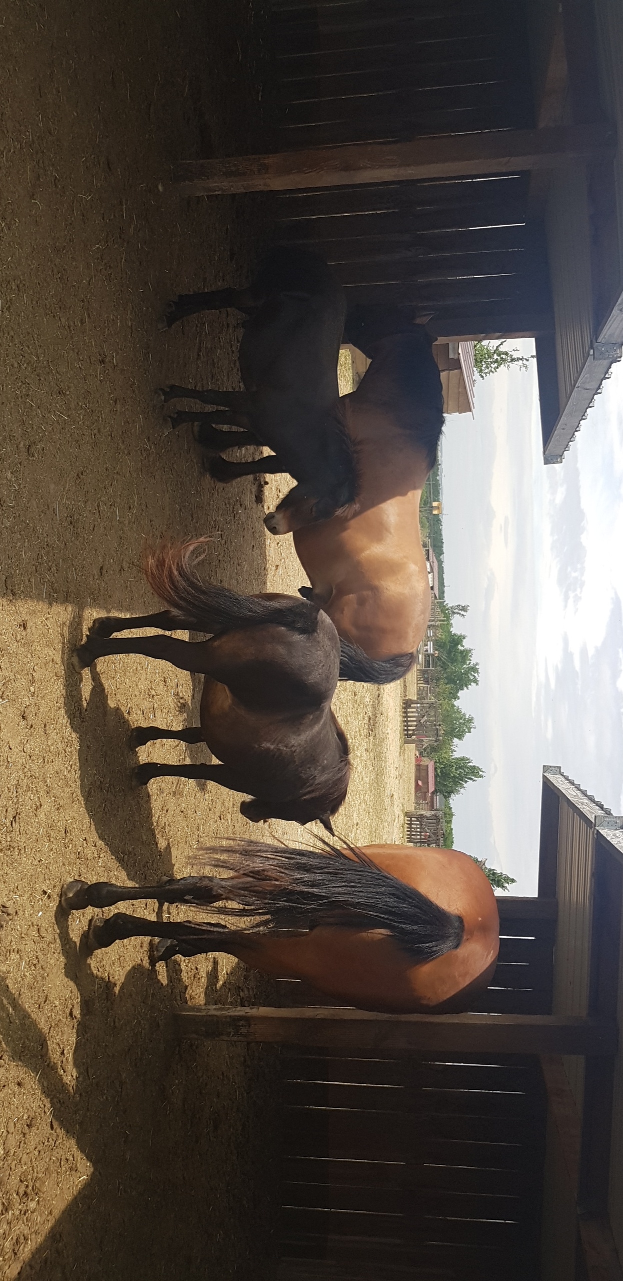 Photo n° 1 de l'avis de L. fait le 18/07/2019 à 15:46
