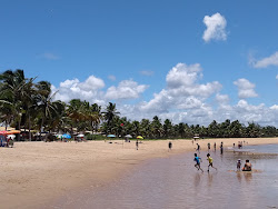 Photo de Itacimirim Beach avec un niveau de propreté de très propre