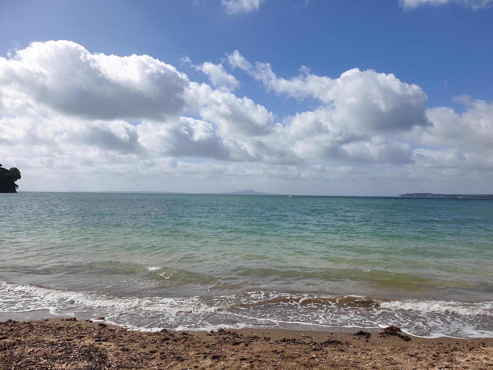 Foto von Arkles Bay Beach mit sehr sauber Sauberkeitsgrad