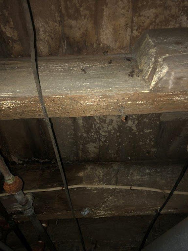 Water Damage Restoration Service «TruPro Restoration», reviews and photos, 768 PA-307, Moscow, PA 18444, USA