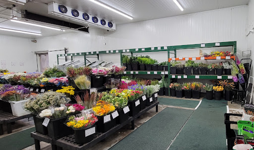 Florist «Sequoia Floral International», reviews and photos, 3245 Santa Rosa Ave, Santa Rosa, CA 95407, USA