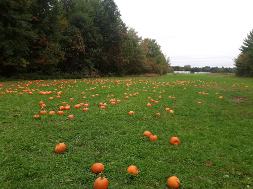 Historical Place «Connecticut Trolley Museum», reviews and photos, 58 N Rd, East Windsor, CT 06088, USA