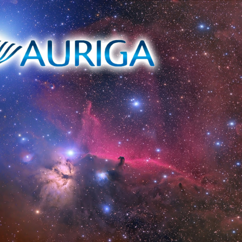 Auriga S.r.l.