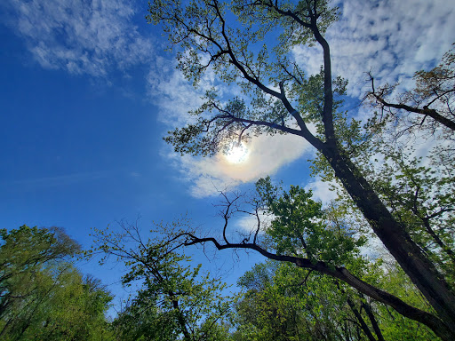 Learning Center «Trailside Museum of Natural History», reviews and photos, 738 Thatcher Ave, River Forest, IL 60305, USA