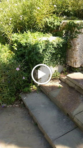 Park «Dragon Park», reviews and photos, 3520 Cedar Springs Rd, Dallas, TX 75219, USA