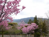桂坂公園