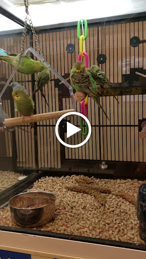 Pet Supply Store «PetSmart», reviews and photos, 367 Mt Hope Ave, Rockaway, NJ 07866, USA