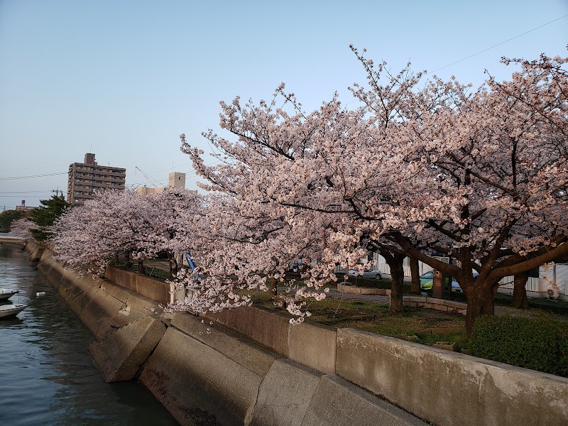 松浜公園