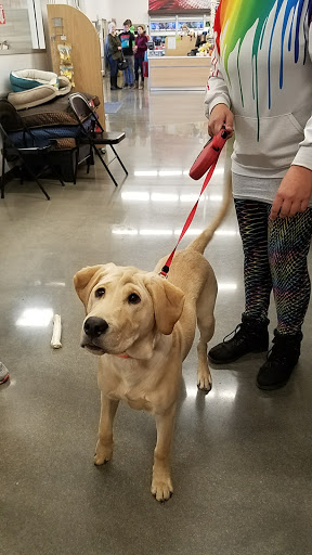 Pet Store «PetSmart», reviews and photos, 3152 Phoenix Center Dr, Washington, MO 63090, USA