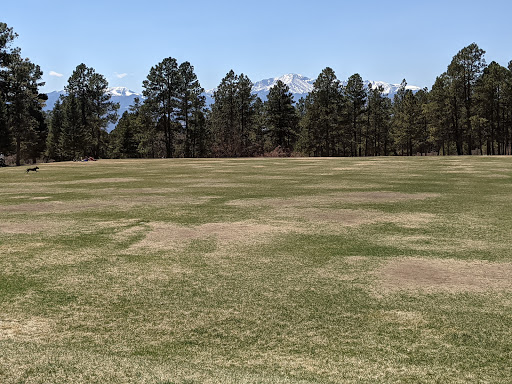 Black Forest Regional Park, 4800 Shoup Rd, Colorado Springs, CO 80908