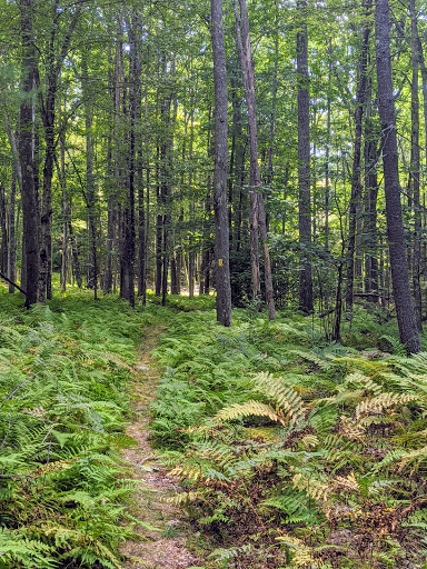 Museum «Dorflinger Glass Museum», reviews and photos, 37 Suydam Dr, White Mills, PA 18473, USA