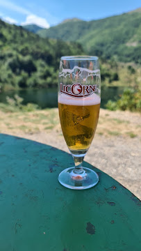 Plats et boissons du Bar-restaurant de l'étang de Lers à Le Port - n°11