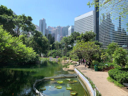 Tai Chi Garden