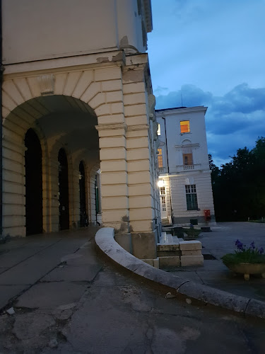 Orczy kastély, Pszichiátriai és Szenvedélybetegek Otthona és Rehabilitációs Intézmény - Múzeum