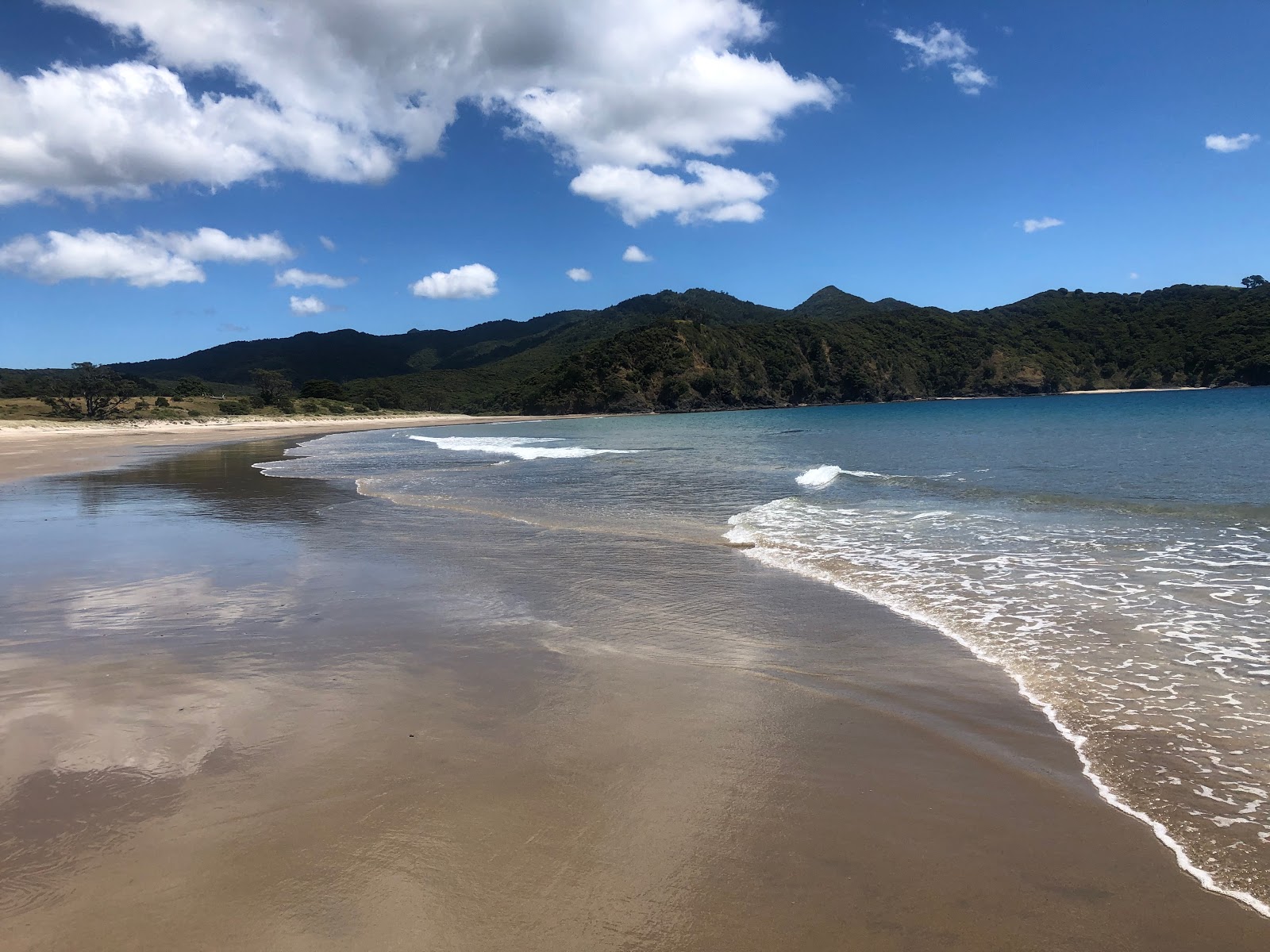 Harataonga Bay Beach的照片 带有碧绿色纯水表面