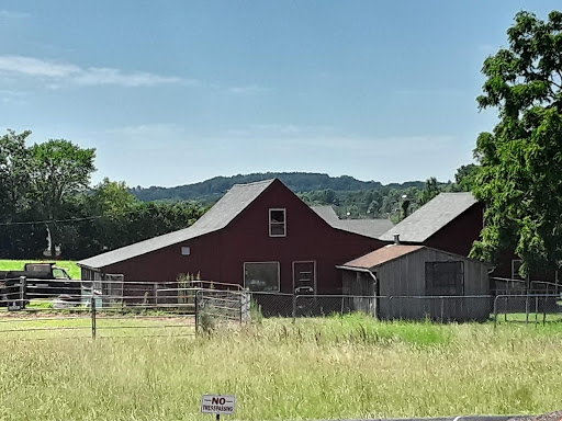 Auto Parts Store «NAPA Auto Parts - Genuine Parts Company», reviews and photos, 1260 Newfield St, Middletown, CT 06457, USA