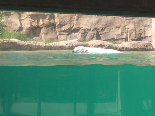 Zoo «Henry Vilas Zoo», reviews and photos, 702 S Randall Ave, Madison, WI 53715, USA