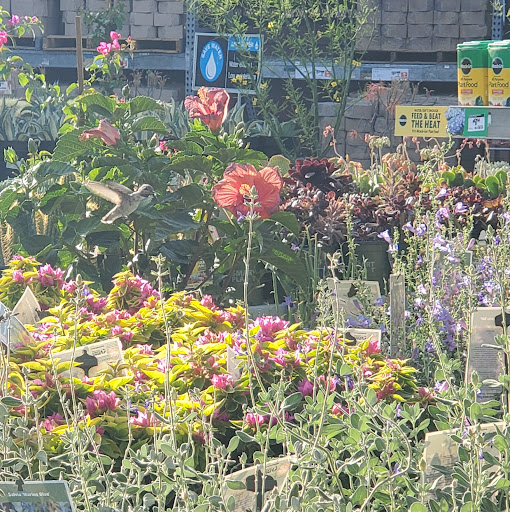 Home Improvement Store «The Home Depot», reviews and photos, 34249 Monterey Ave, Rancho Mirage, CA 92270, USA