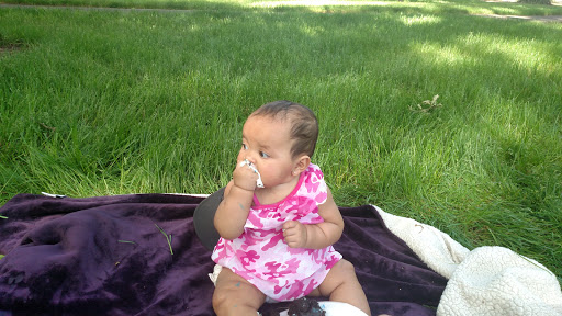 Park «Shadywood Park», reviews and photos, 535 NE 24th Ave, Hillsboro, OR 97124, USA