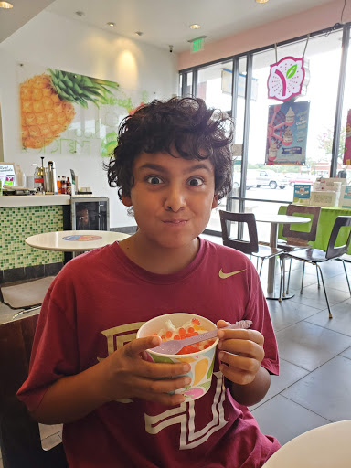 Frozen Yogurt Shop «Yogurtland», reviews and photos, 10500 Ulmerton Rd, Largo, FL 33771, USA