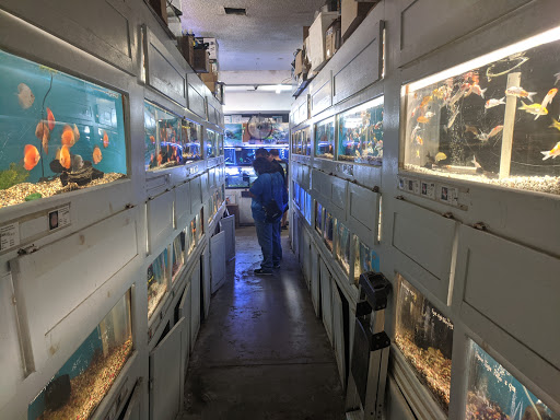Tropical Fish Store «C K Fish World», reviews and photos, 410 N Azusa Ave, West Covina, CA 91791, USA