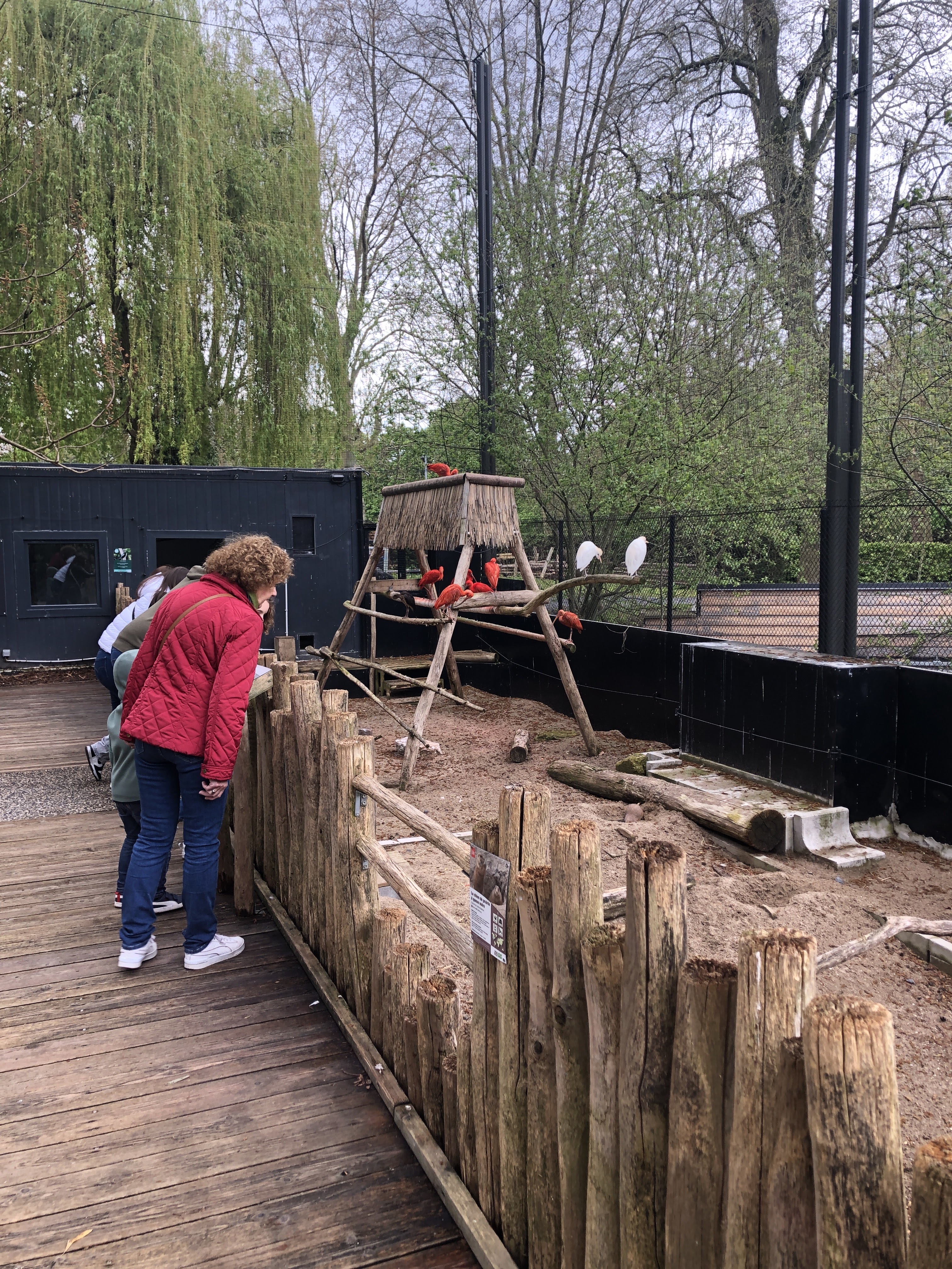 Photo n° 11 de l'avis de R. fait le 25/04/2023 à 06:22