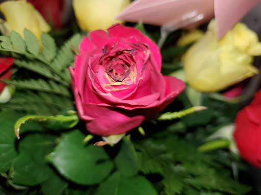 Florist «Amazon Flowers», reviews and photos, 6730 SW 20th Ct, Miramar, FL 33023, USA