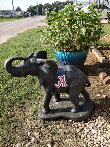 Grocery Store «Foodland Plus», reviews and photos, 3413 Woodward Ave, Muscle Shoals, AL 35661, USA