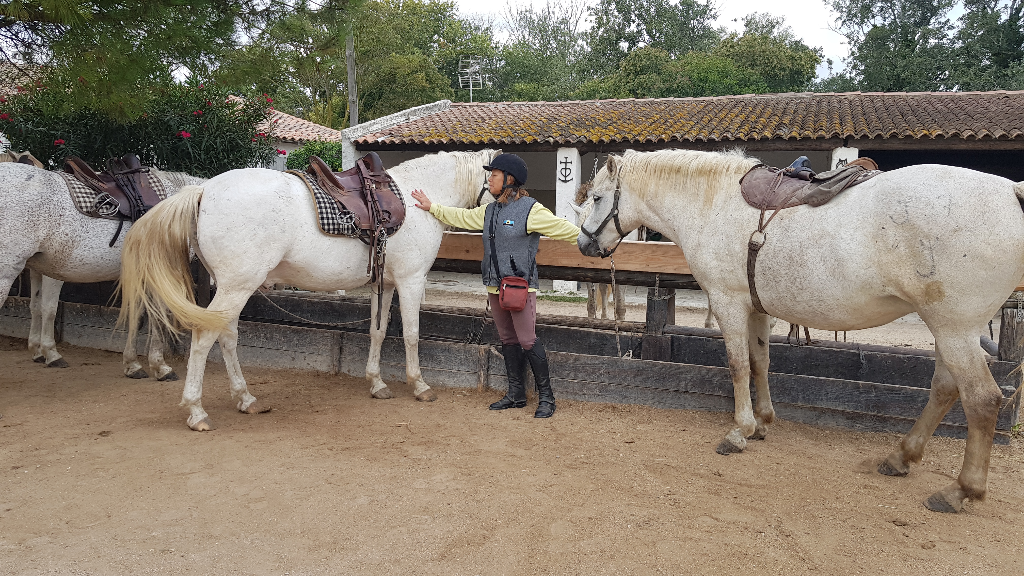 Photo n° 2 de l'avis de Ugo.e fait le 10/10/2022 à 14:11