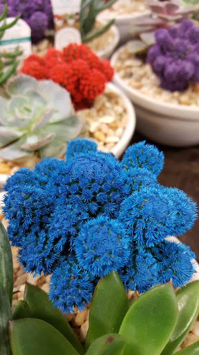 Home Improvement Store «The Home Depot», reviews and photos, 979 Beards Hill Rd, Aberdeen, MD 21001, USA